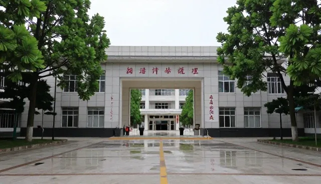 文心一言多平台统一优化中的数据监测误区澄清